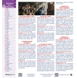 Calendario vertical de pared "Ntra. Sra. de la Medalla Milagrosa"